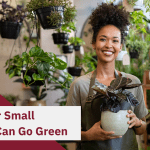 Ways Your Small Business Can Go Green